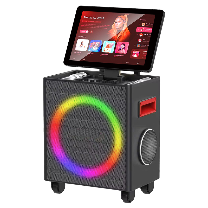 Hifi Party Speaker