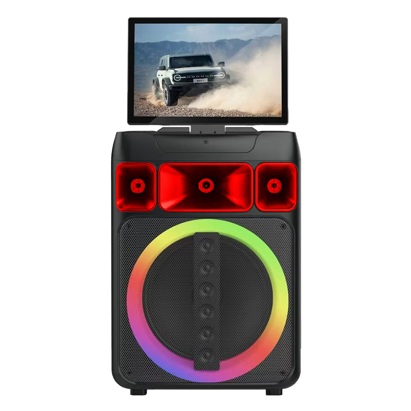 Hifi Party Speaker
