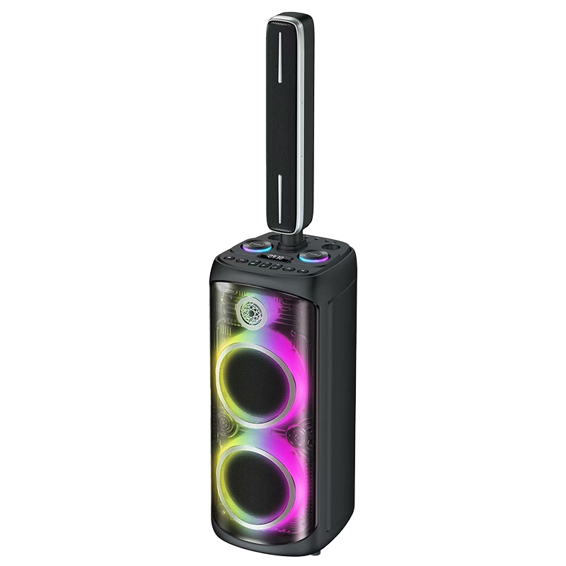 Hifi Party Speaker