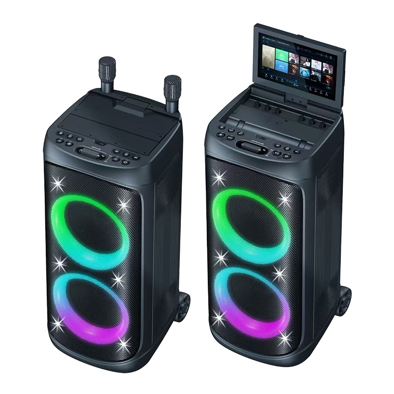 Hifi Party Speaker