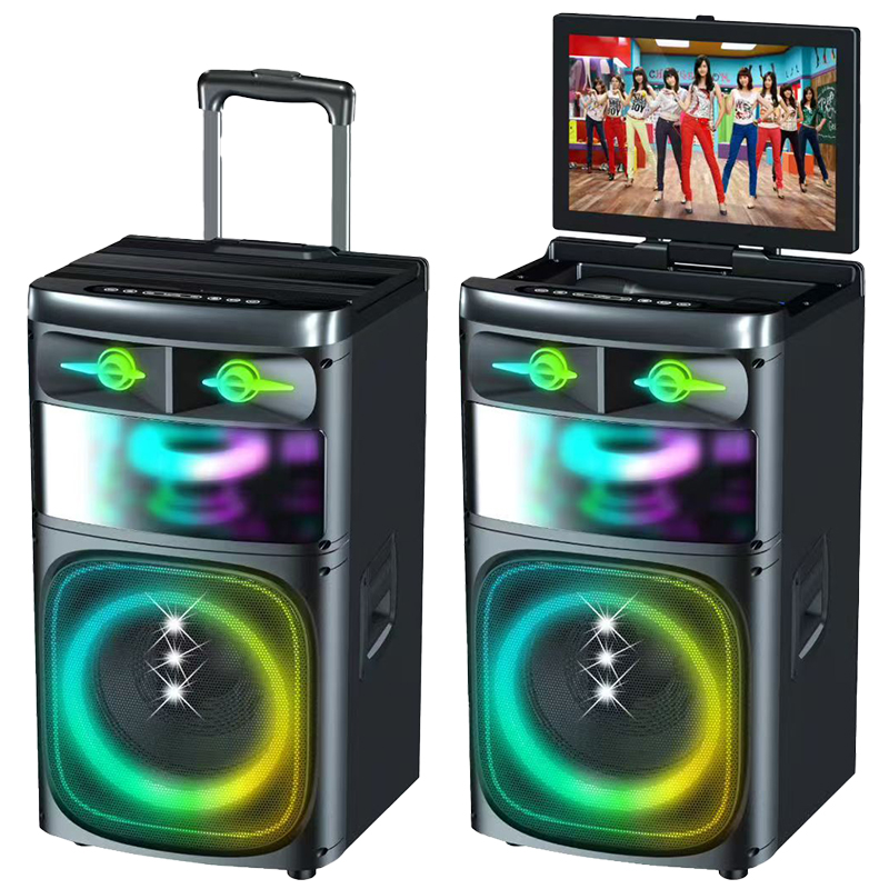 Hifi Party Speaker