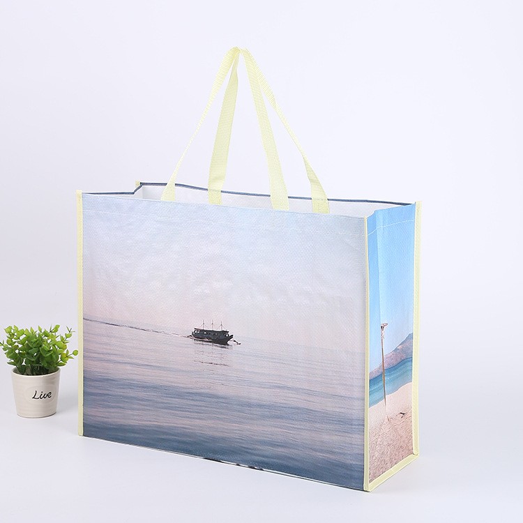 Custom Logo Laminated Non-Woven Totes & PP Woven Bags | Factory Direct Wholesale