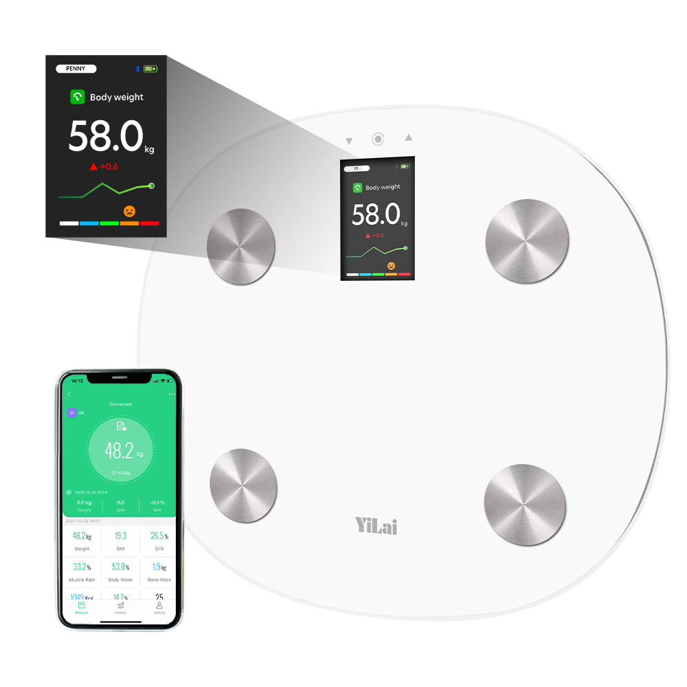Bathroom Body Fat Scale with Large TFT Scree