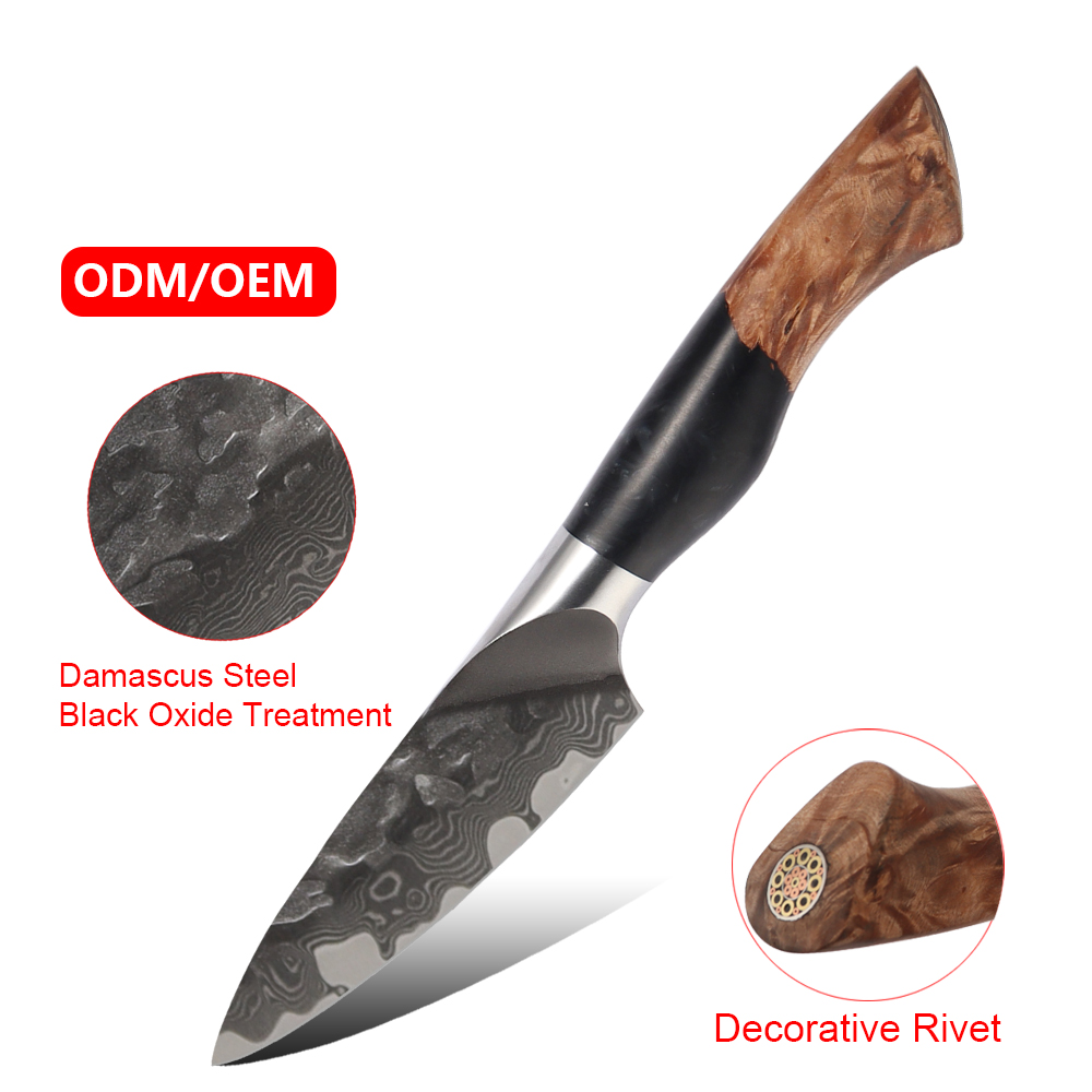 Hip-home New Trend Vg10 Damascus Knife 3.5 inch OEM Wood Kitchen Knife for Fruit