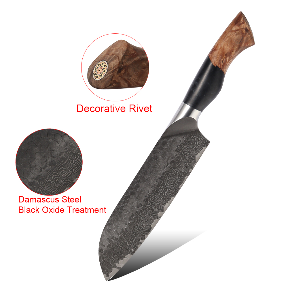 Hip-home Damascus Santoku Knife Professional 67 Layer Japanese Kitchen Knife Resin and Wood Handle
